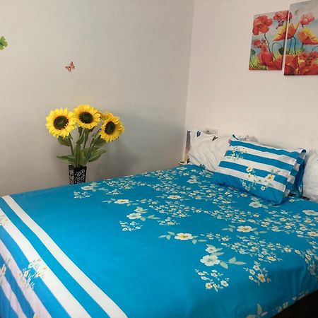 Cosy Hideaway Appartement Braşov Buitenkant foto